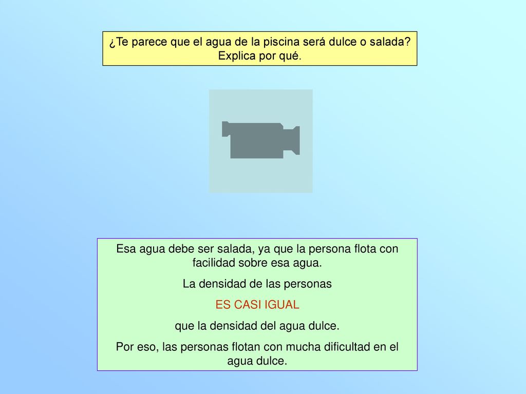 ¿Te parece que el agua de la piscina será dulce o salada