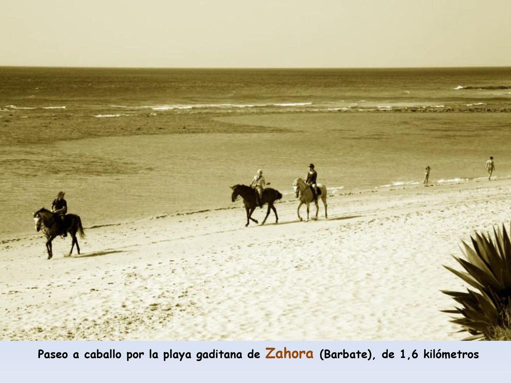 Paseo a caballo por la playa gaditana de Zahora (Barbate), de 1,6 kilómetros