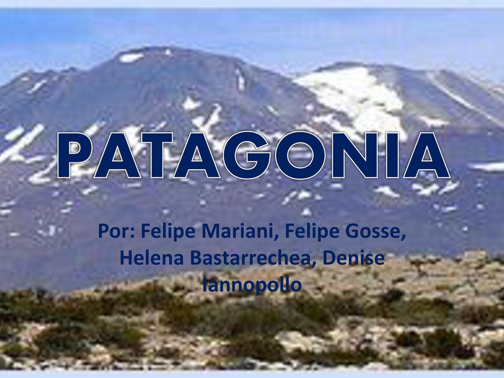 PATAGONIA Por: Felipe Mariani, Felipe Gosse, Helena Bastarrechea, Denise Iannopollo
