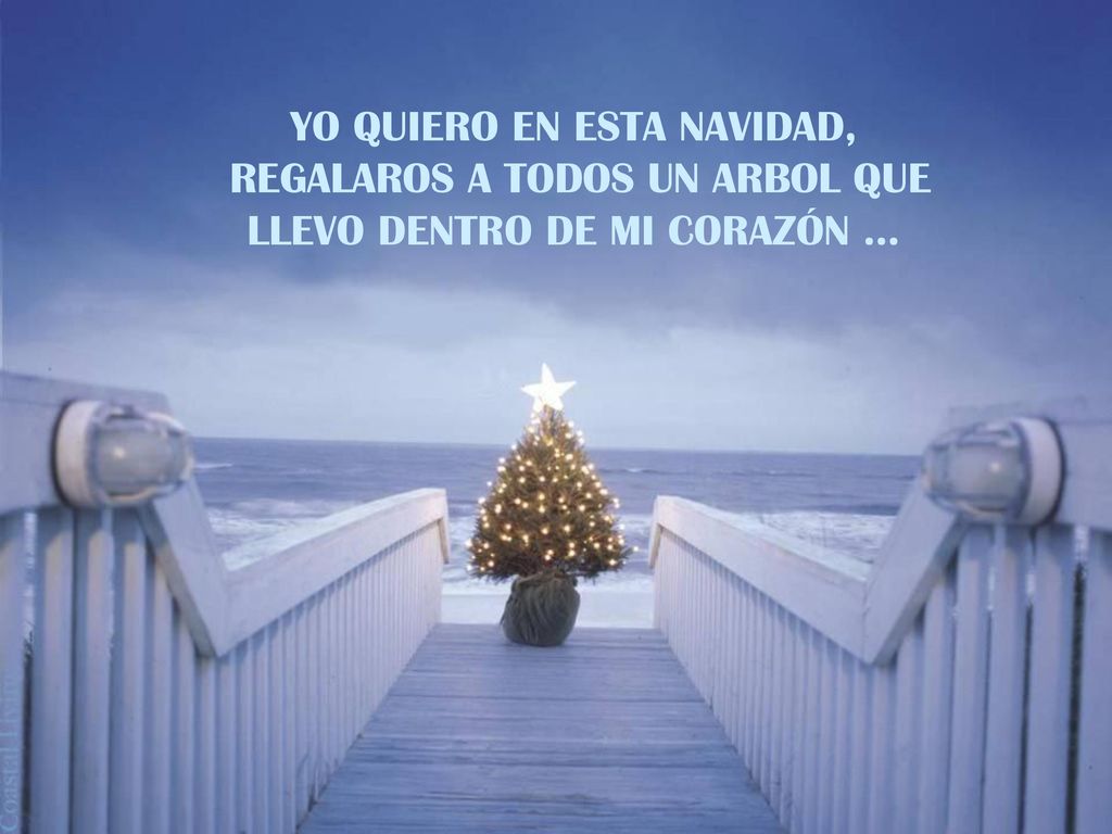 YO QUIERO EN ESTA NAVIDAD, REGALAROS A TODOS UN ARBOL QUE