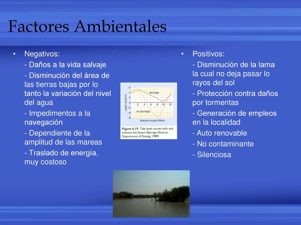 Factores Ambientales Negativos: - Daños a la vida salvaje