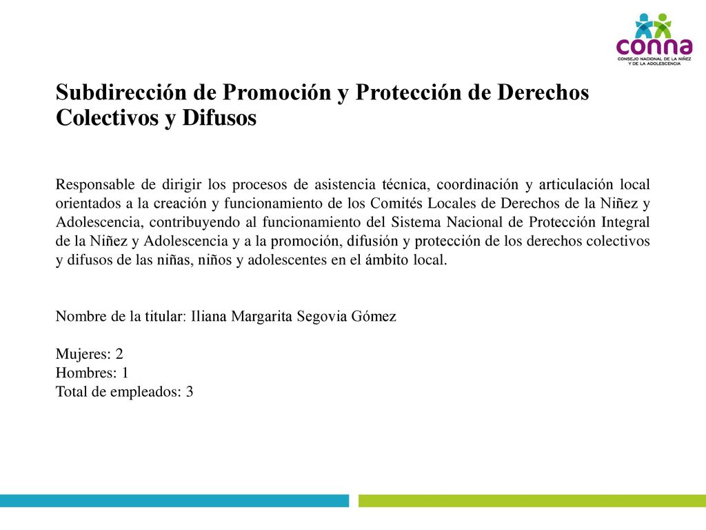 Subdirección de Promoción y Protección de Derechos Colectivos y Difusos