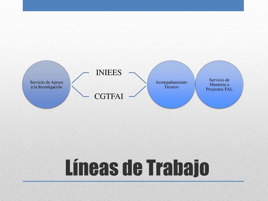 Líneas de Trabajo INIEES CGTFAI Servicio de Apoyo a la Investigación