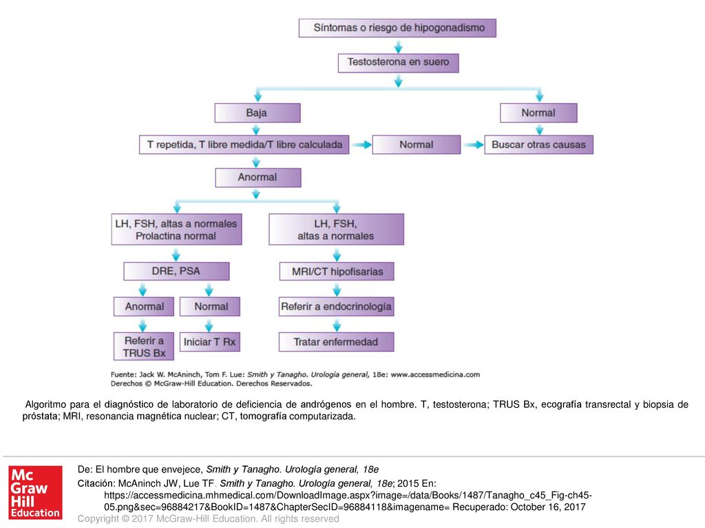 Algoritmo para el diagnóstico de laboratorio de deficiencia de andrógenos en el hombre. T, testosterona; TRUS Bx, ecografía transrectal y biopsia de próstata; MRI, resonancia magnética nuclear; CT, tomografía computarizada.