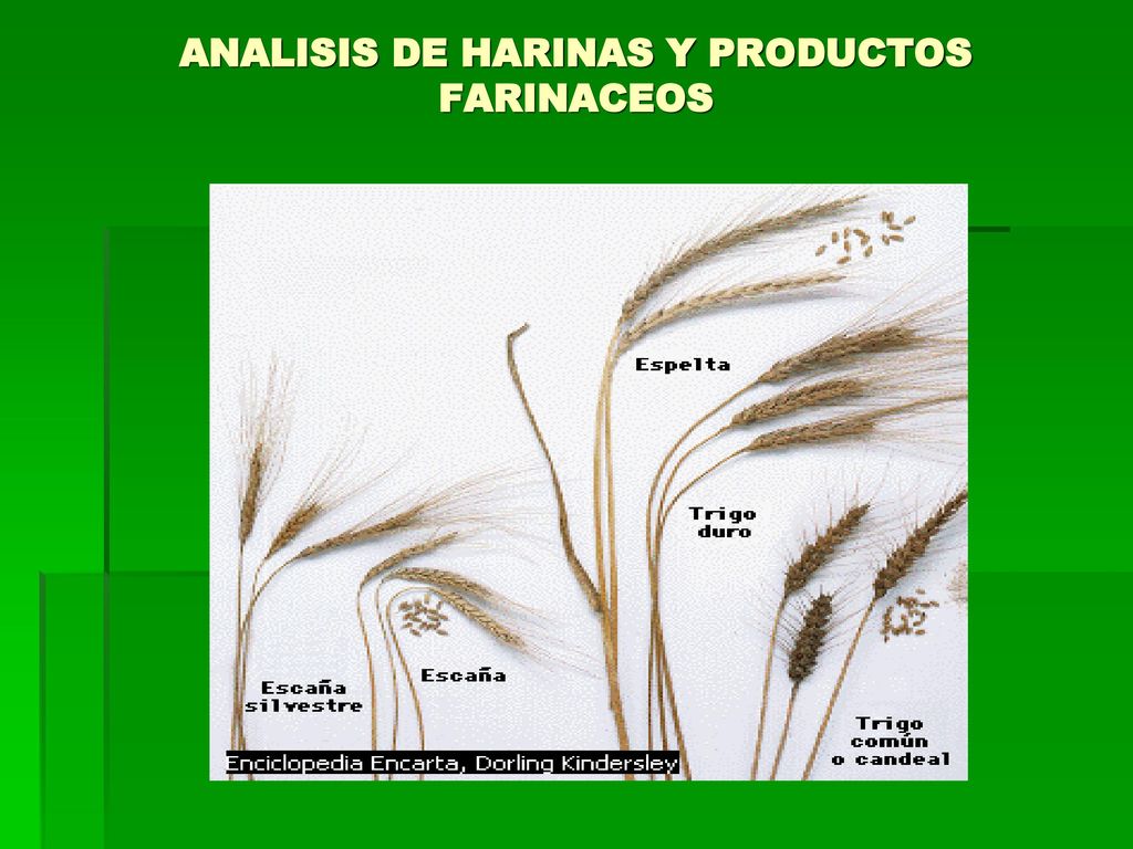 ANALISIS DE HARINAS Y PRODUCTOS FARINACEOS