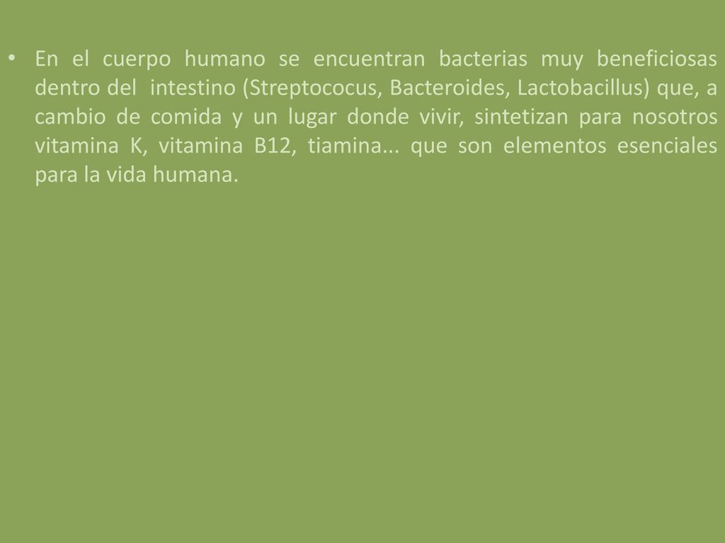 En el cuerpo humano se encuentran bacterias muy beneficiosas dentro del intestino (Streptococus, Bacteroides, Lactobacillus) que, a cambio de comida y un lugar donde vivir, sintetizan para nosotros vitamina K, vitamina B12, tiamina...