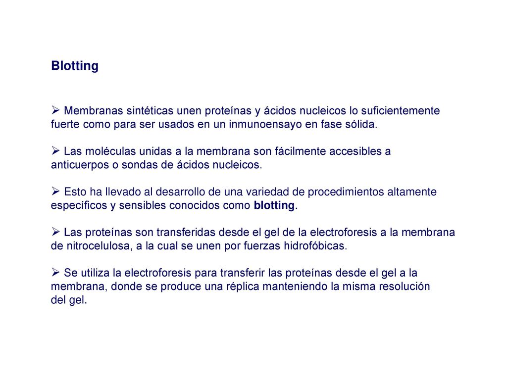 Blotting Membranas sintéticas unen proteínas y ácidos nucleicos lo suficientemente. fuerte como para ser usados en un inmunoensayo en fase sólida.