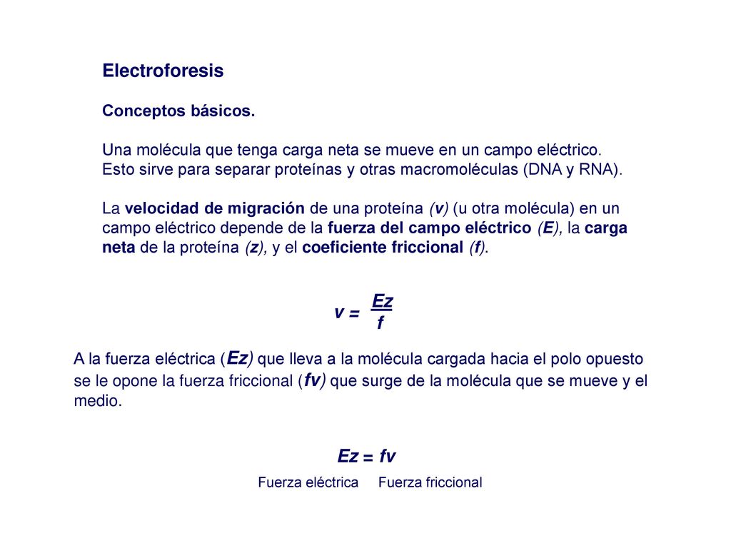 Electroforesis Ez f v = Ez = fv Conceptos básicos.