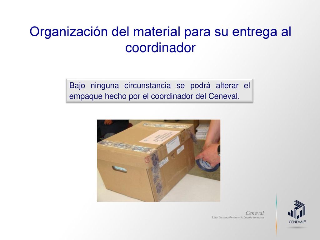 Organización del material para su entrega al coordinador