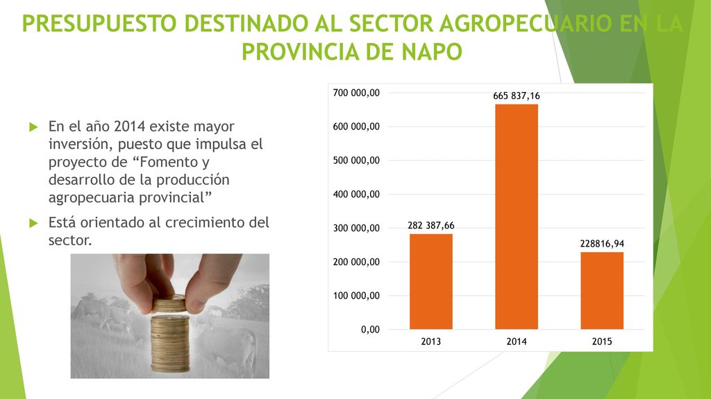 Presupuesto destinado al sector agropecuario en la provincia de Napo