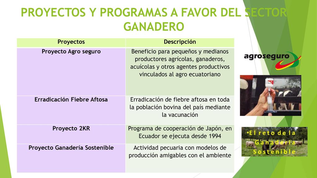 Proyectos y programas a favor del sector ganadero