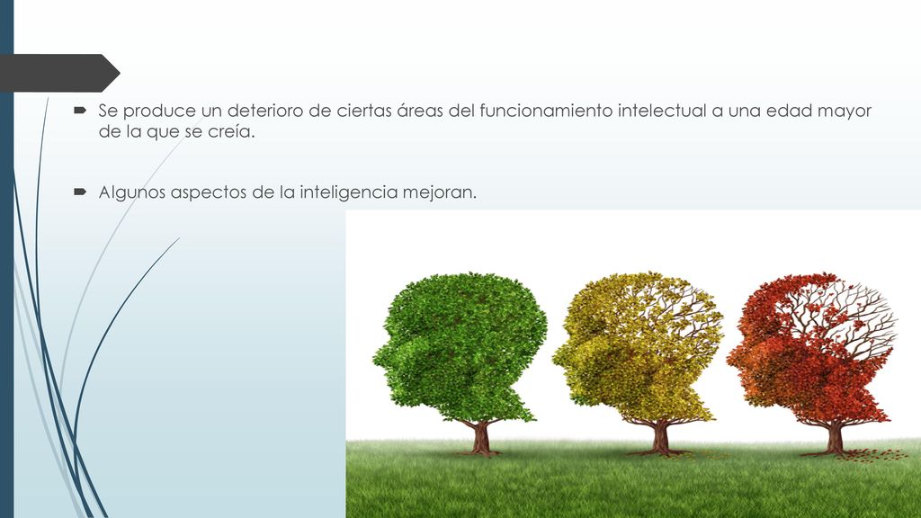 Se produce un deterioro de ciertas áreas del funcionamiento intelectual a una edad mayor de la que se creía.