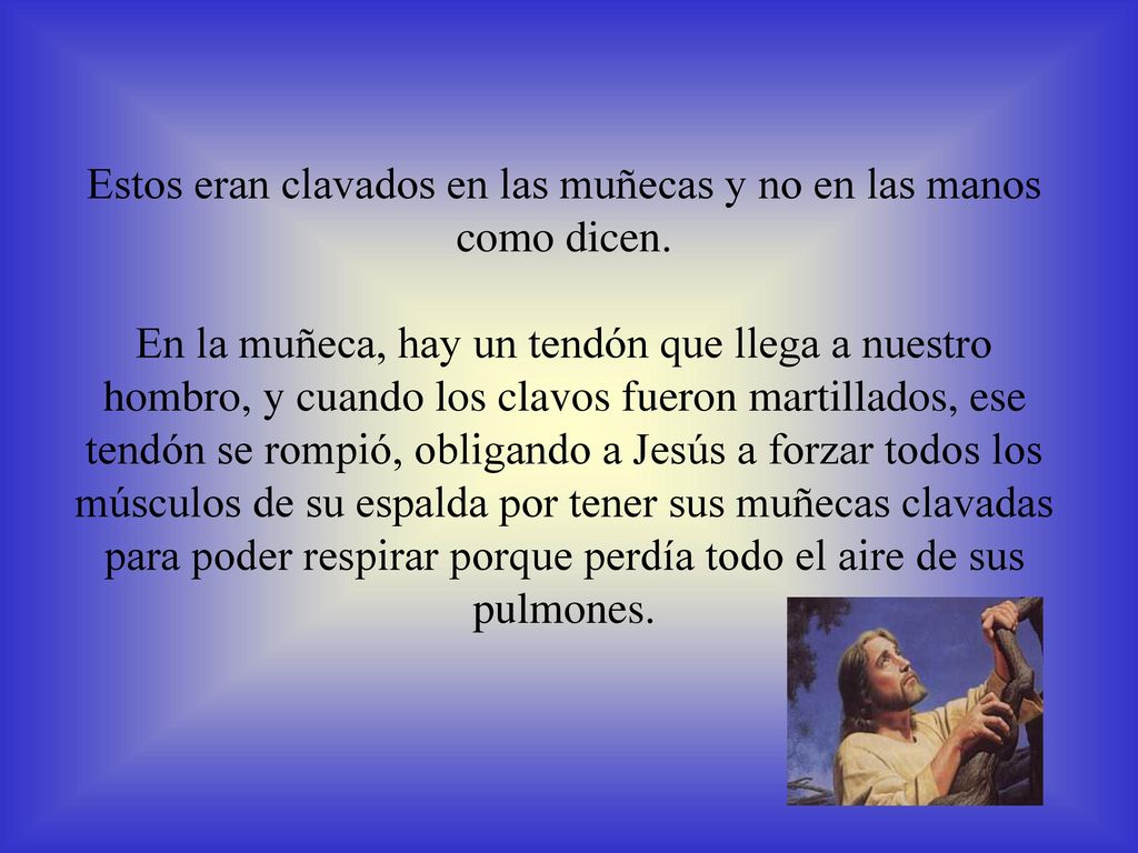 Estos eran clavados en las muñecas y no en las manos como dicen.