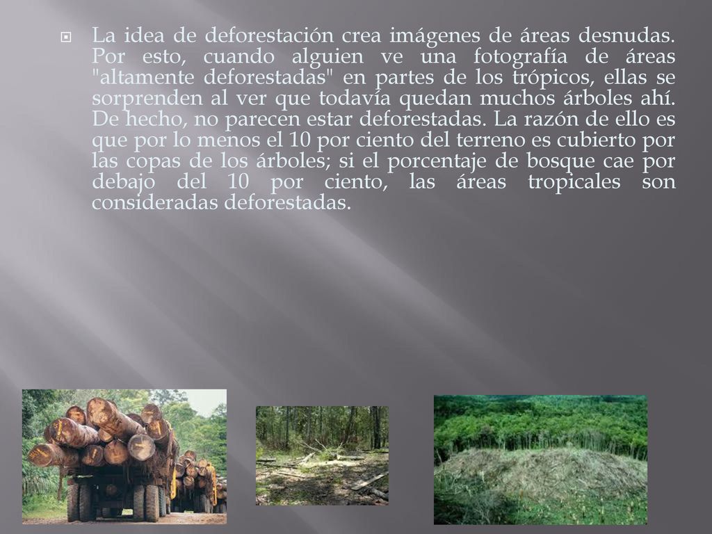 La idea de deforestación crea imágenes de áreas desnudas