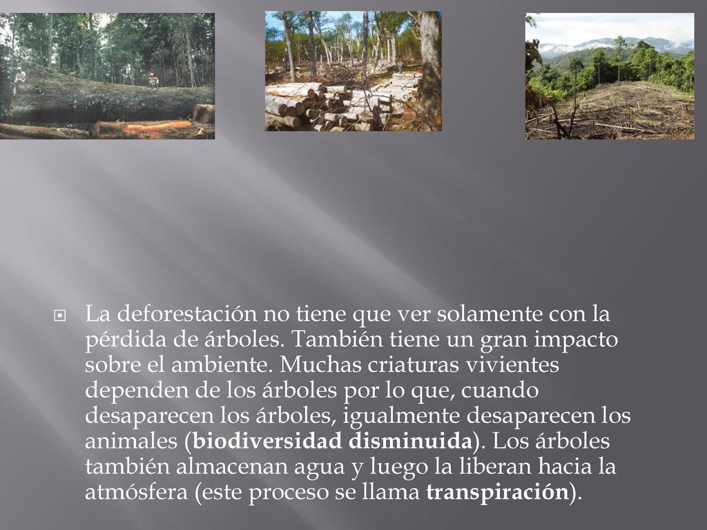 La deforestación no tiene que ver solamente con la pérdida de árboles