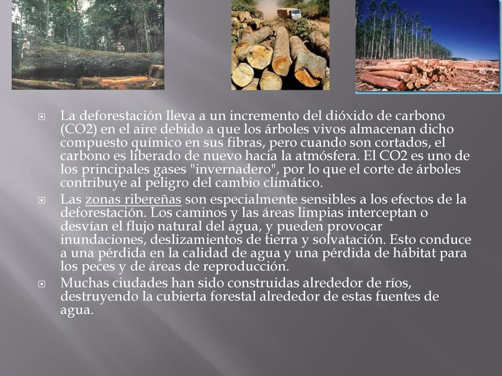 La deforestación lleva a un incremento del dióxido de carbono (CO2) en el aire debido a que los árboles vivos almacenan dicho compuesto químico en sus fibras, pero cuando son cortados, el carbono es liberado de nuevo hacia la atmósfera. El CO2 es uno de los principales gases invernadero , por lo que el corte de árboles contribuye al peligro del cambio climático.
