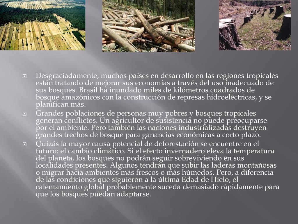 Desgraciadamente, muchos países en desarrollo en las regiones tropicales están tratando de mejorar sus economías a través del uso inadecuado de sus bosques. Brasil ha inundado miles de kilómetros cuadrados de bosque amazónicos con la construcción de represas hidroeléctricas, y se planifican más.