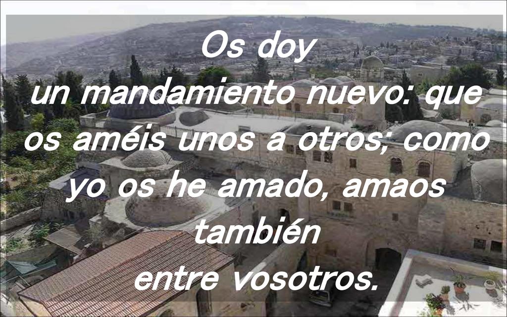 Os doy un mandamiento nuevo: que os améis unos a otros; como yo os he amado, amaos también entre vosotros.