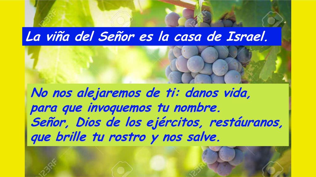 La viña del Señor es la casa de Israel.