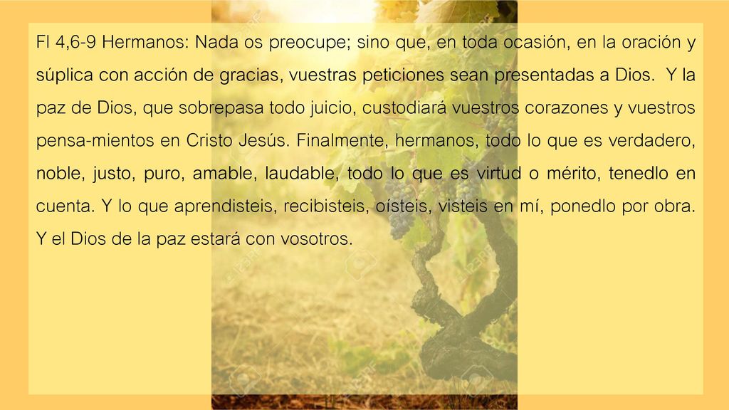 Fl 4,6-9 Hermanos: Nada os preocupe; sino que, en toda ocasión, en la oración y súplica con acción de gracias, vuestras peticiones sean presentadas a Dios.