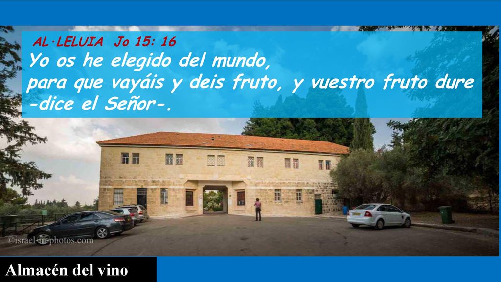 AL·LELUIA Jo 15: 16 Yo os he elegido del mundo, para que vayáis y deis fruto, y vuestro fruto dure.