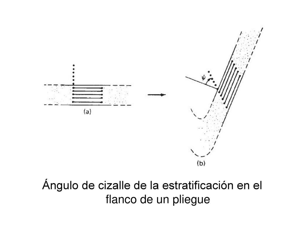 Ángulo de cizalle de la estratificación en el flanco de un pliegue