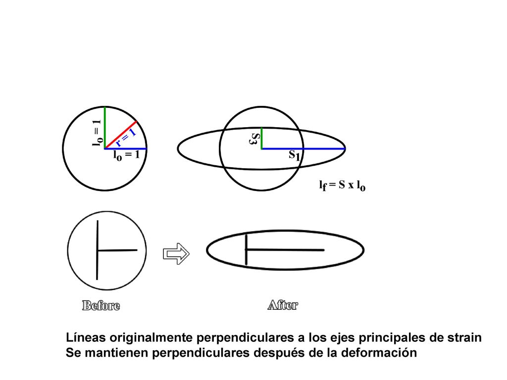 Líneas originalmente perpendiculares a los ejes principales de strain