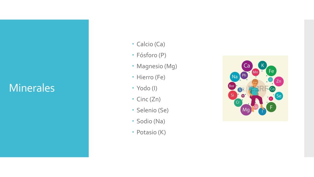 Minerales Calcio (Ca) Fósforo (P) Magnesio (Mg) Hierro (Fe) Yodo (I)