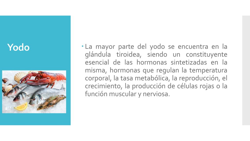 La mayor parte del yodo se encuentra en la glándula tiroidea, siendo un constituyente esencial de las hormonas sintetizadas en la misma, hormonas que regulan la temperatura corporal, la tasa metabólica, la reproducción, el crecimiento, la producción de células rojas o la función muscular y nerviosa.