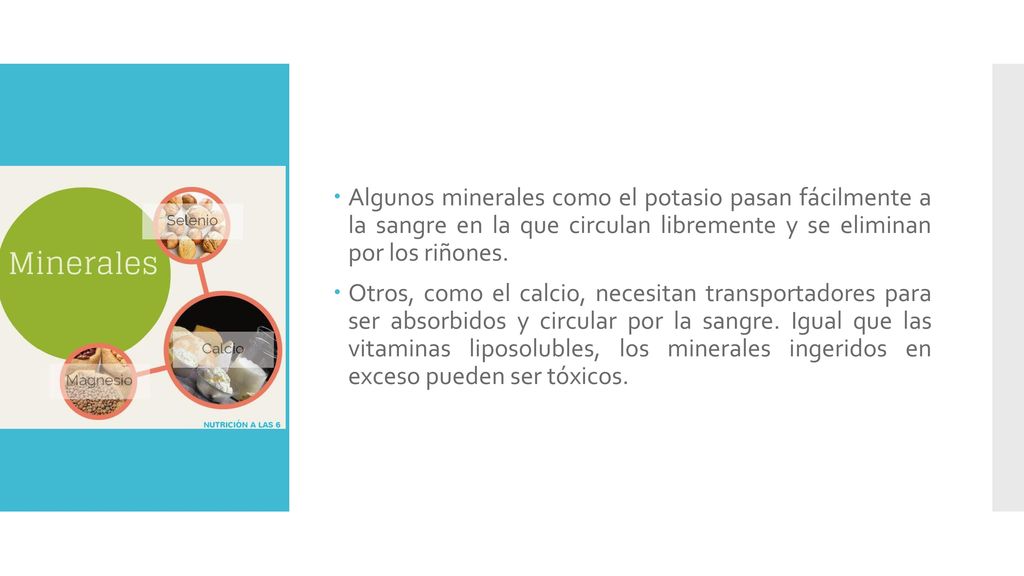 Algunos minerales como el potasio pasan fácilmente a la sangre en la que circulan libremente y se eliminan por los riñones.