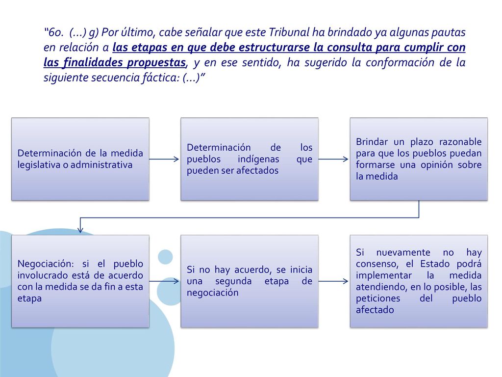 60. (…) g) Por último, cabe señalar que este Tribunal ha brindado ya algunas pautas en relación a las etapas en que debe estructurarse la consulta para cumplir con las finalidades propuestas, y en ese sentido, ha sugerido la conformación de la siguiente secuencia fáctica: (…)