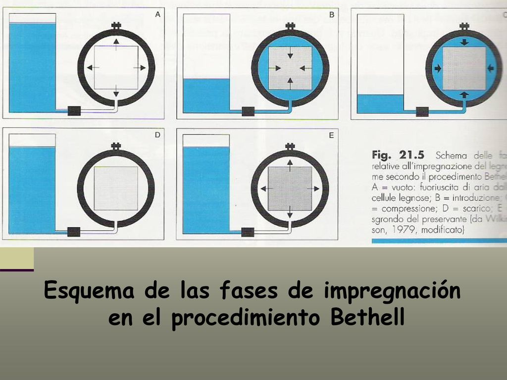 Esquema de las fases de impregnación en el procedimiento Bethell