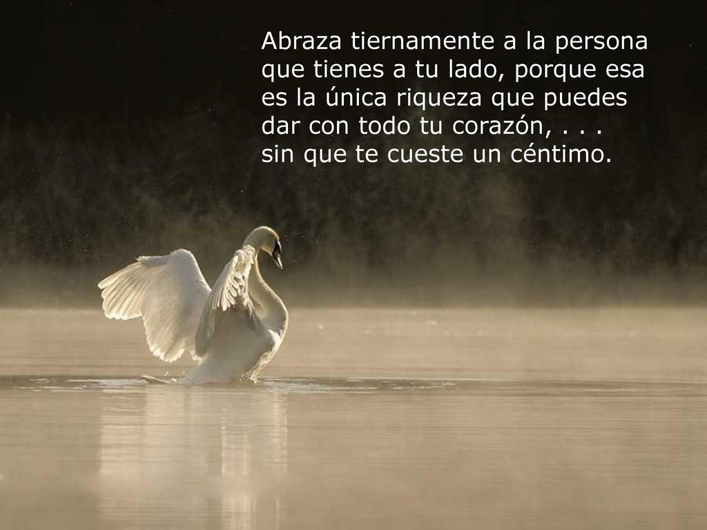 Abraza tiernamente a la persona que tienes a tu lado, porque esa es la única riqueza que puedes dar con todo tu corazón, . . .