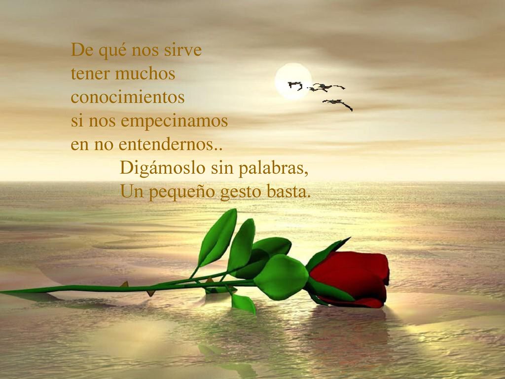 De qué nos sirve tener muchos. conocimientos. si nos empecinamos. en no entendernos.. Digámoslo sin palabras,