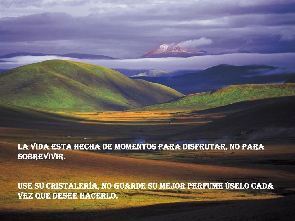 La vida esta hecha de momentos para disfrutar, no para sobrevivir.