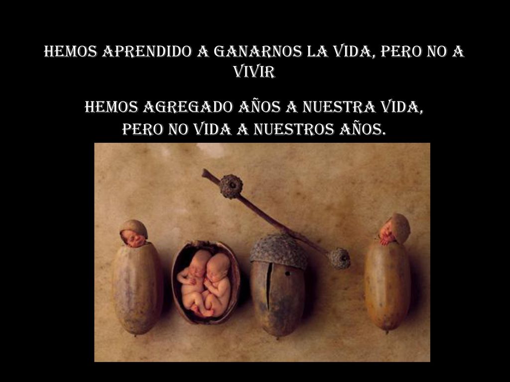 Hemos aprendido a ganarnos la vida, pero no a vivir