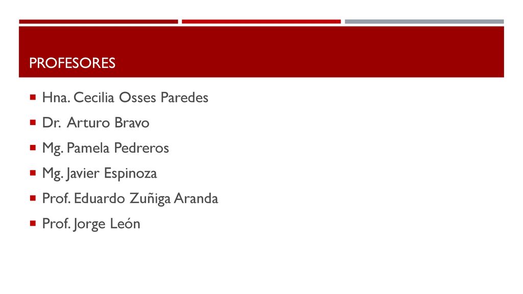 Profesores Hna. Cecilia Osses Paredes. Dr. Arturo Bravo. Mg. Pamela Pedreros. Mg. Javier Espinoza.