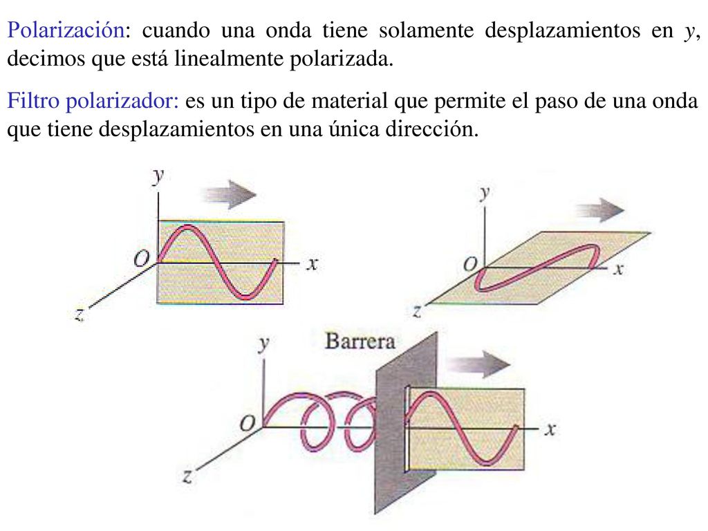Polarización: cuando una onda tiene solamente desplazamientos en y, decimos que está linealmente polarizada.