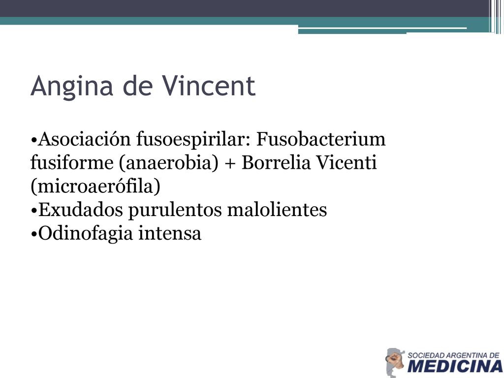 Angina de Vincent Asociación fusoespirilar: Fusobacterium fusiforme (anaerobia) + Borrelia Vicenti (microaerófila)