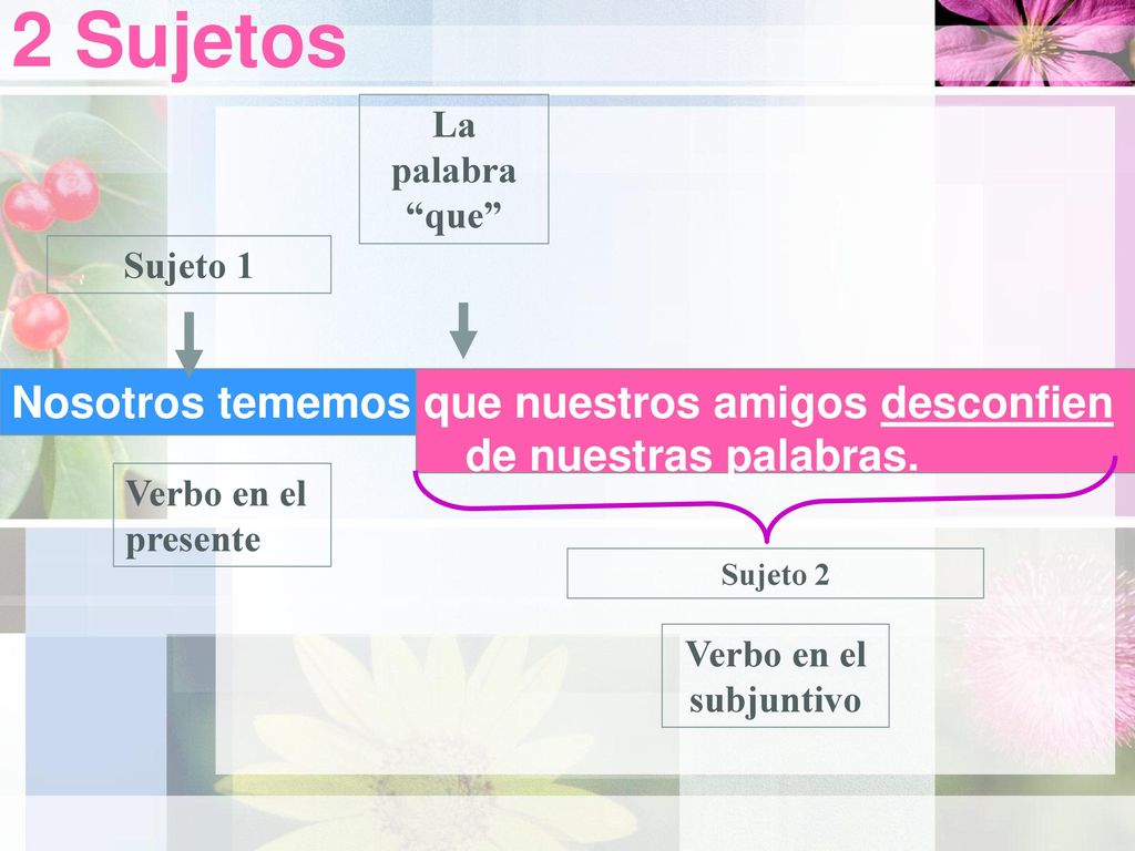 2 Sujetos La palabra que Sujeto 1. Nosotros tememos que nuestros amigos desconfien de nuestras palabras.