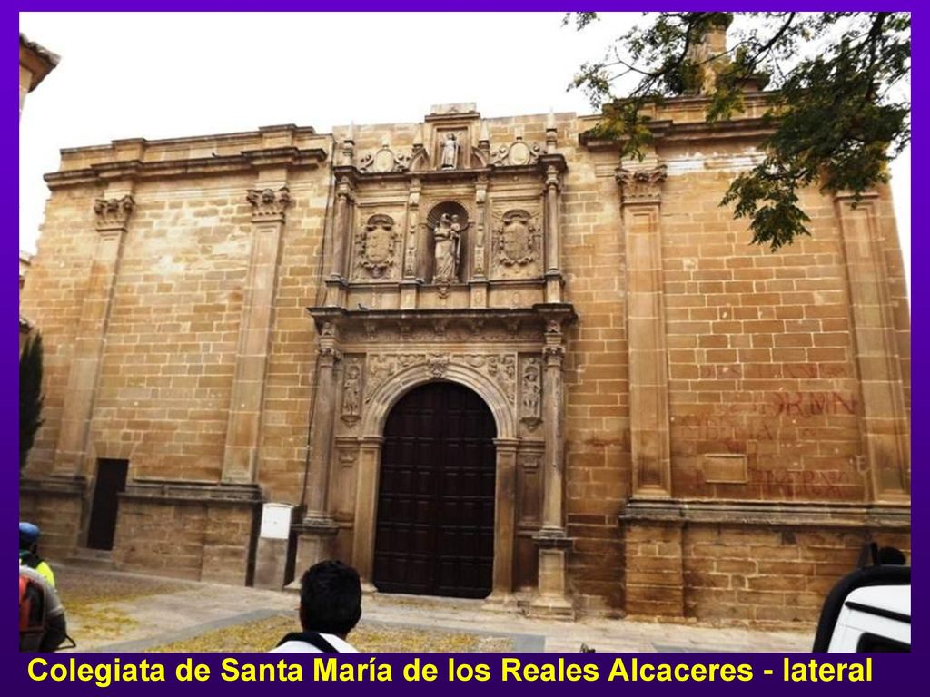 Colegiata de Santa María de los Reales Alcaceres - lateral