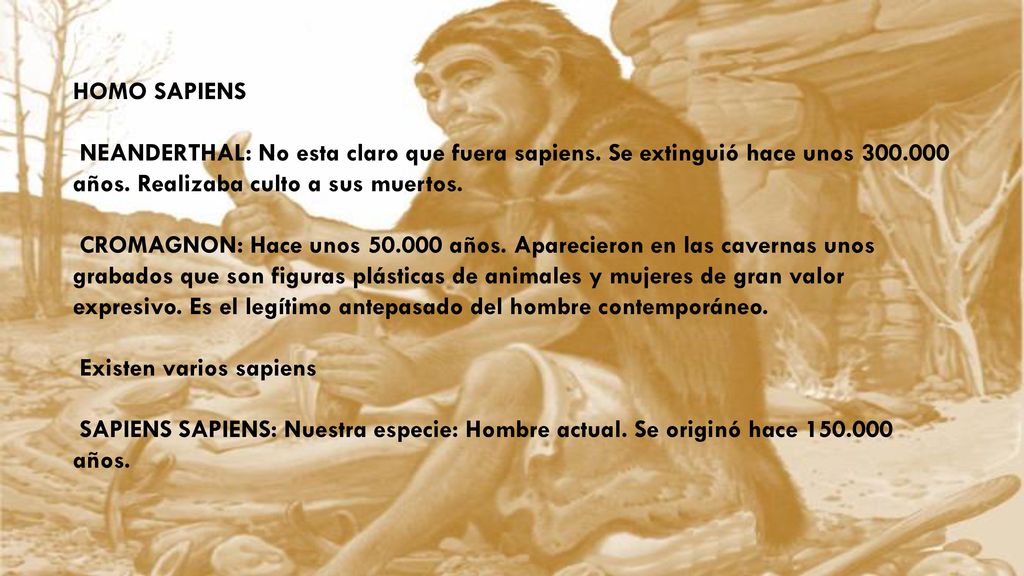 HOMO SAPIENS NEANDERTHAL: No esta claro que fuera sapiens. Se extinguió hace unos años. Realizaba culto a sus muertos.