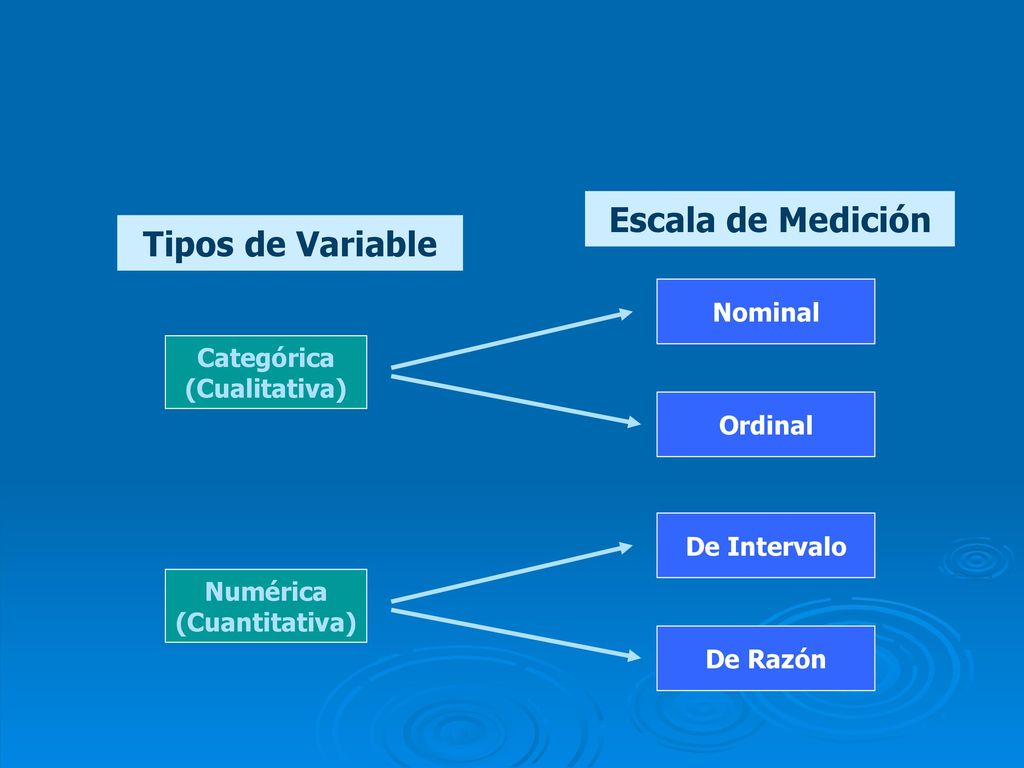 Escala de Medición Tipos de Variable