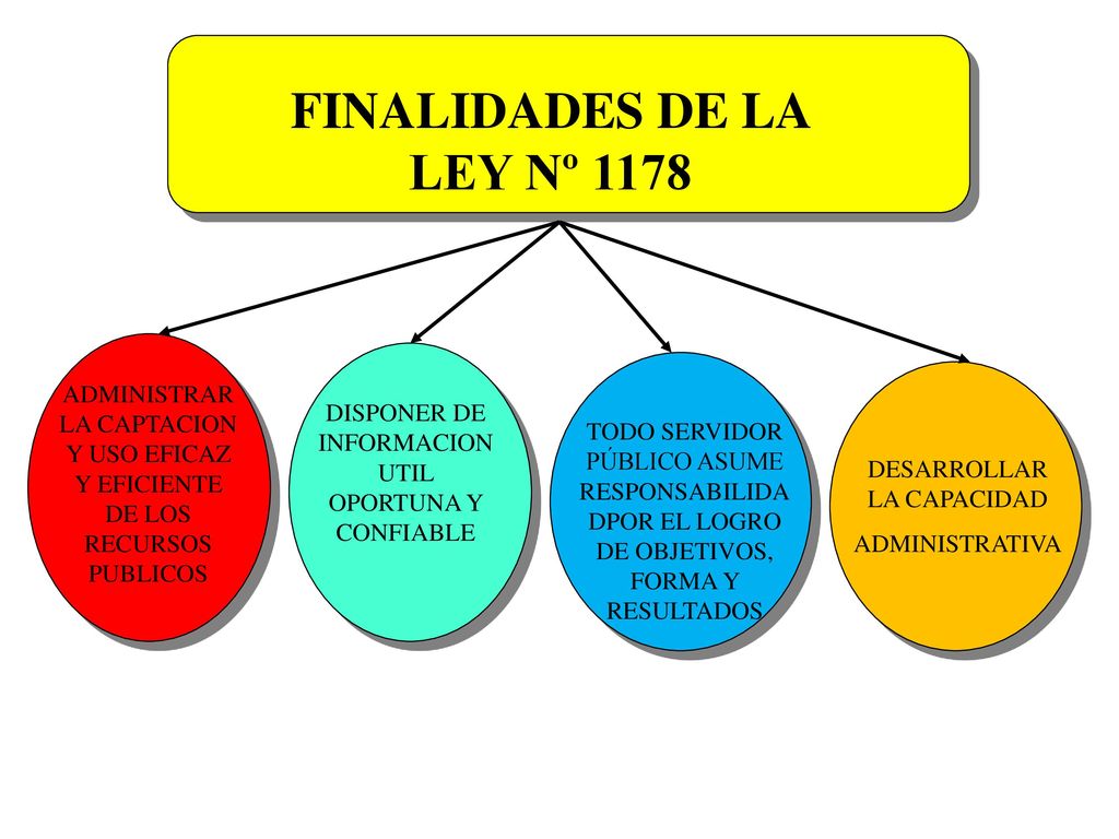 FINALIDADES DE LA LEY Nº 1178