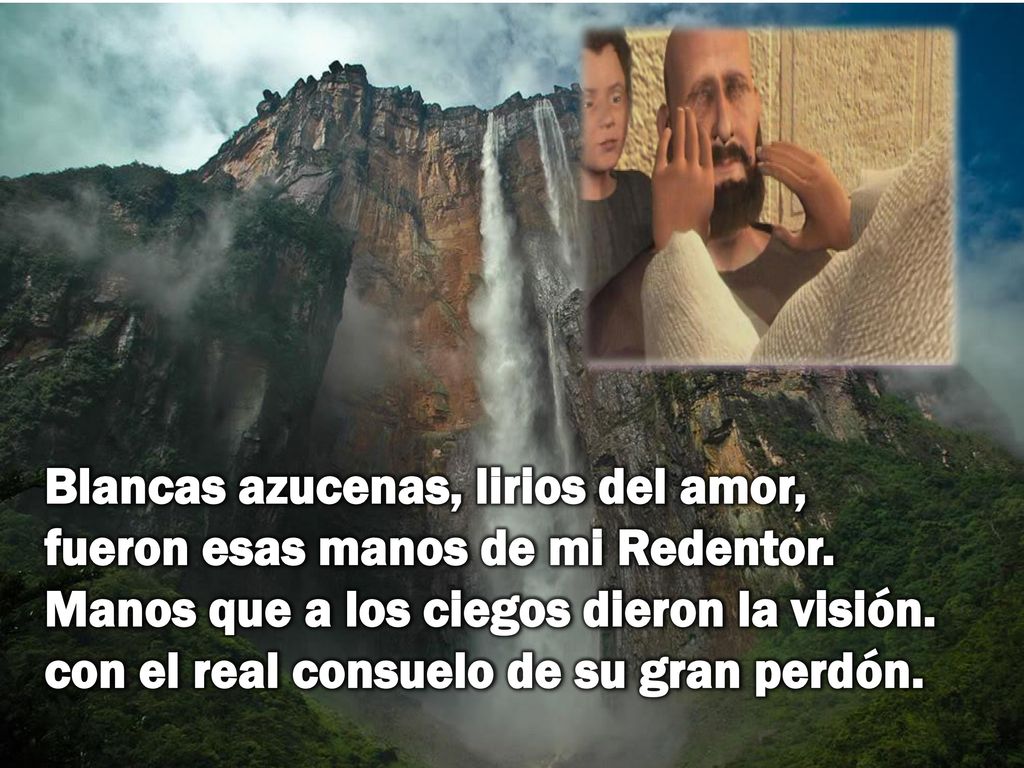 Blancas azucenas, lirios del amor, fueron esas manos de mi Redentor