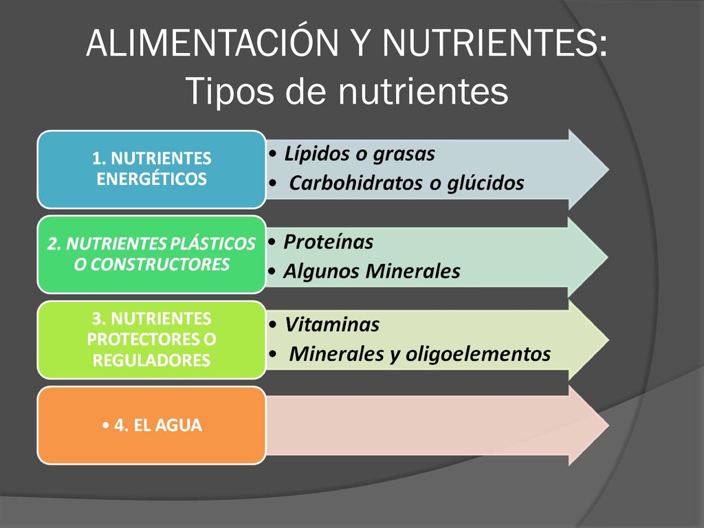 ALIMENTACIÓN Y NUTRIENTES: Tipos de nutrientes