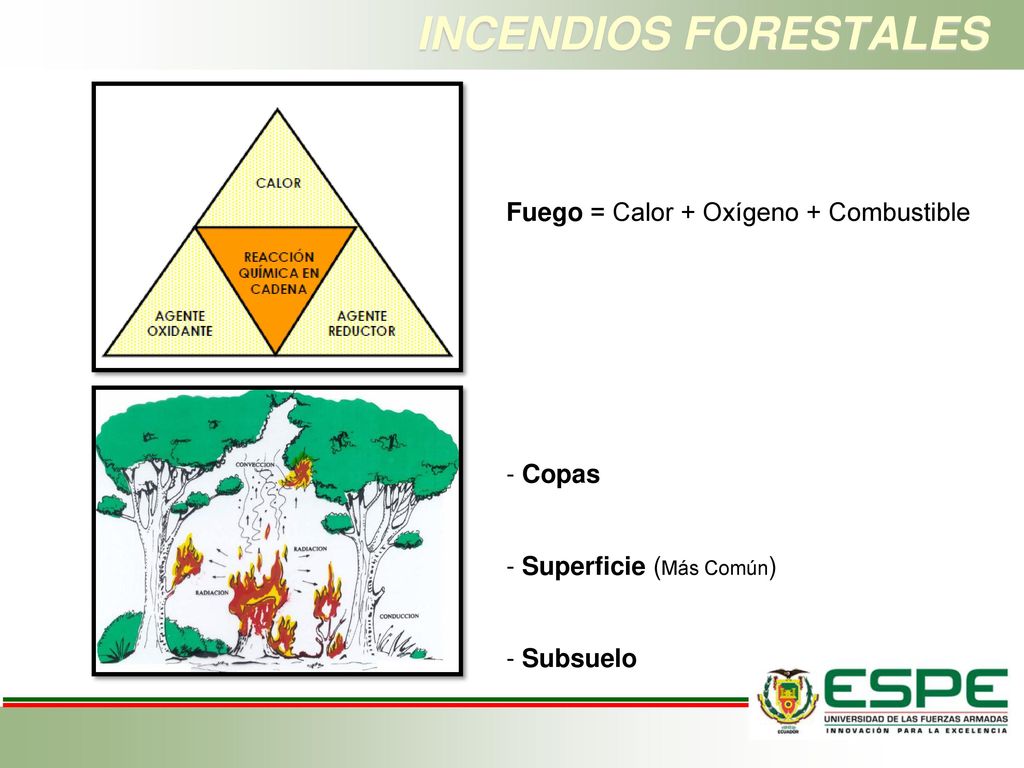 INCENDIOS FORESTALES Fuego = Calor + Oxígeno + Combustible Copas