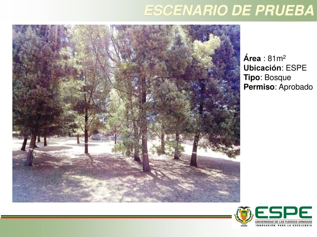 ESCENARIO DE PRUEBA Área : 81m2 Ubicación: ESPE Tipo: Bosque