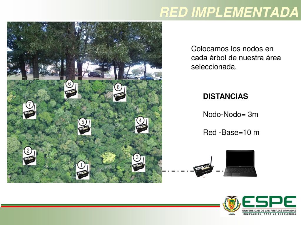 RED IMPLEMENTADA Colocamos los nodos en cada árbol de nuestra área seleccionada. DISTANCIAS. Nodo-Nodo= 3m.