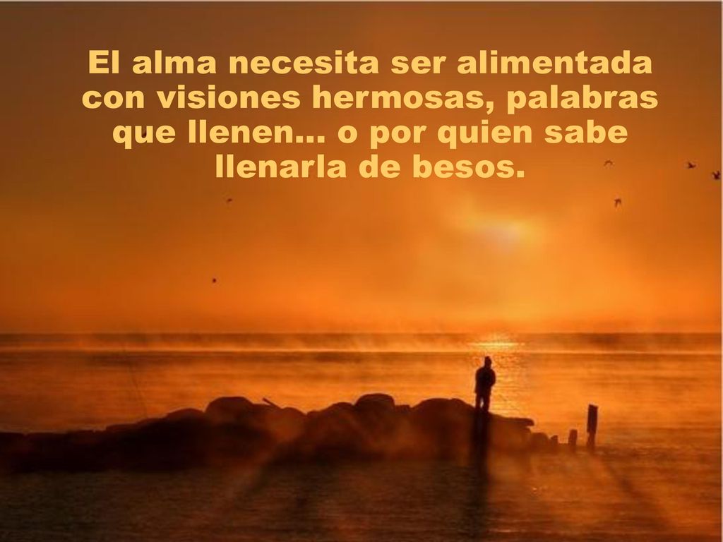 El alma necesita ser alimentada con visiones hermosas, palabras que llenen...